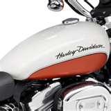images of Harley Davidson Engine Oil